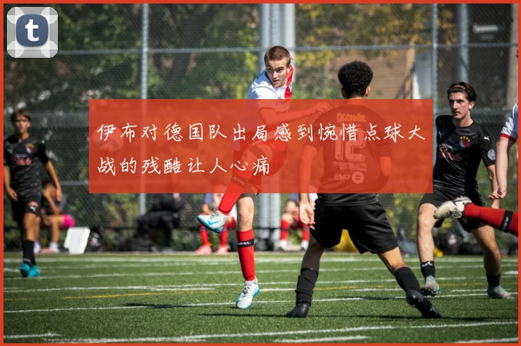 伊布对德国队出局感到惋惜点球大战的残酷让人心痛