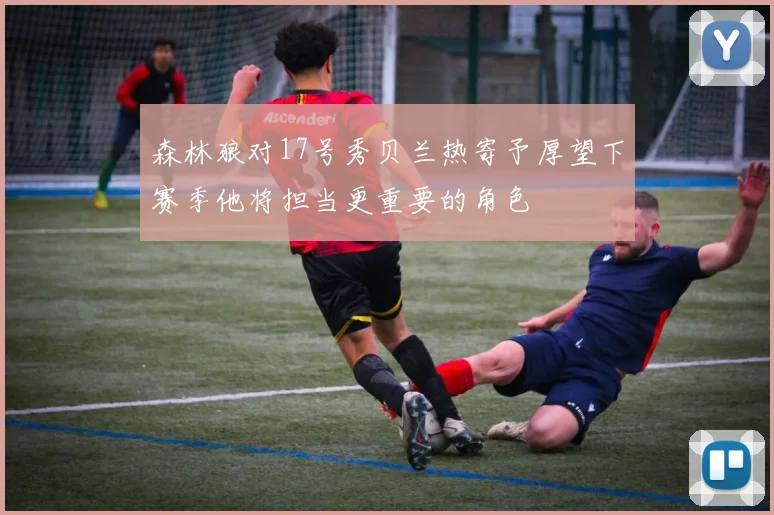 森林狼对17号秀贝兰热寄予厚望下赛季他将担当更重要的角色