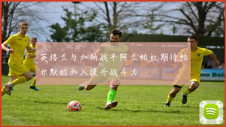 英格兰与加纳战平阿兰帕杜期待帕尔默的加入提升战斗力